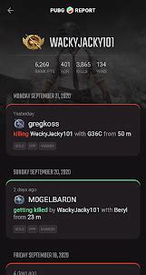 pubg report pc.